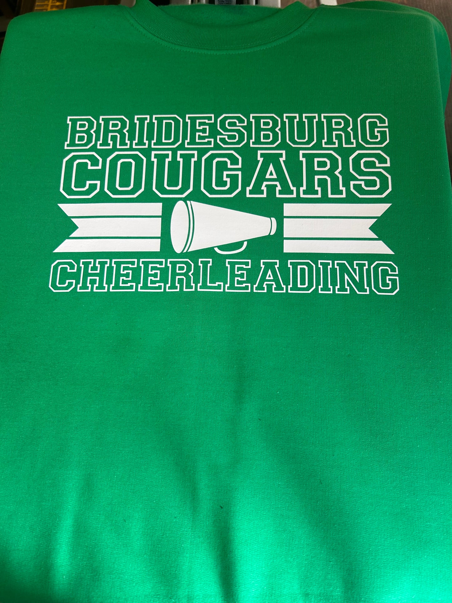 Bridesburg cheer mom