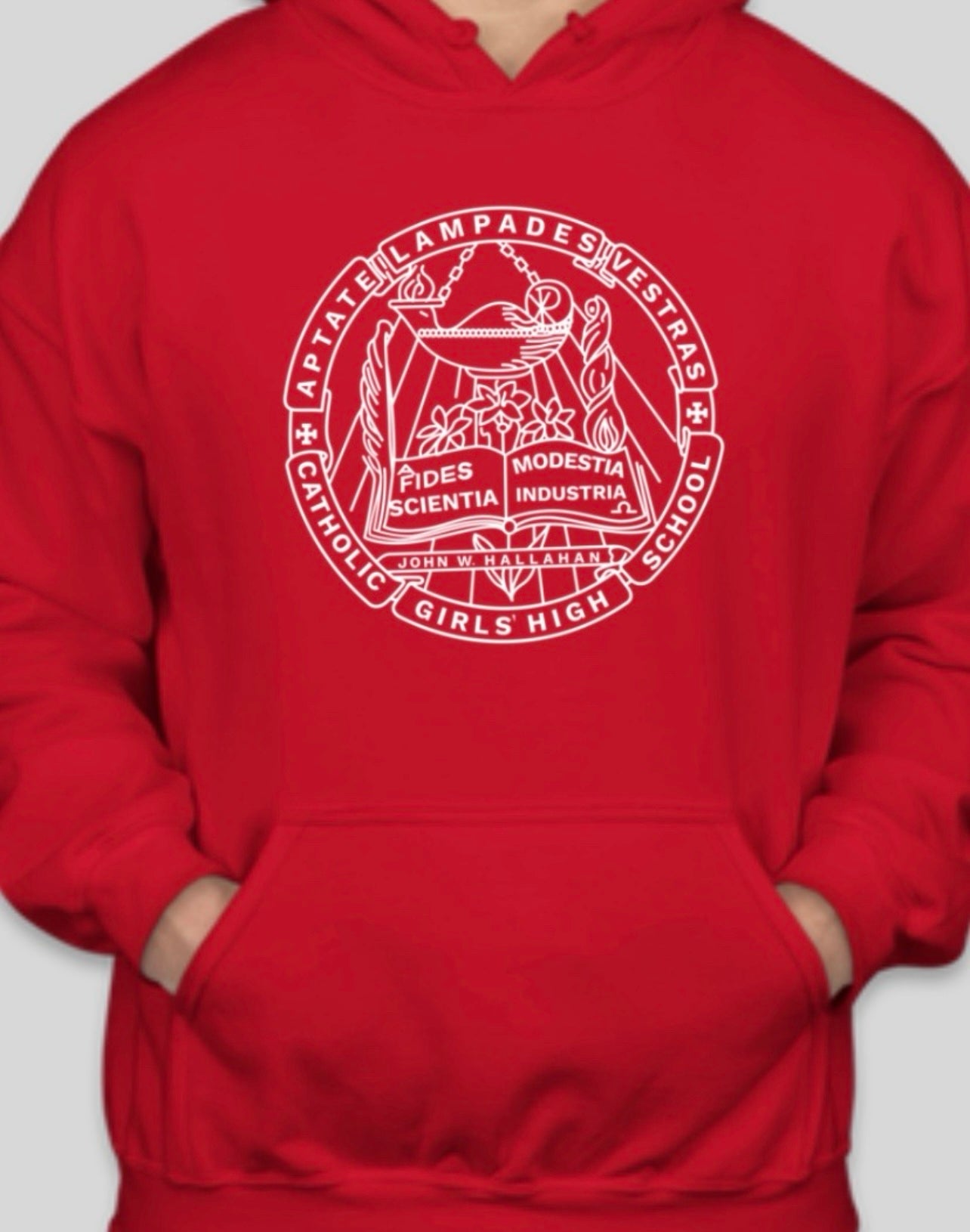 Hallahan school seal hoodie