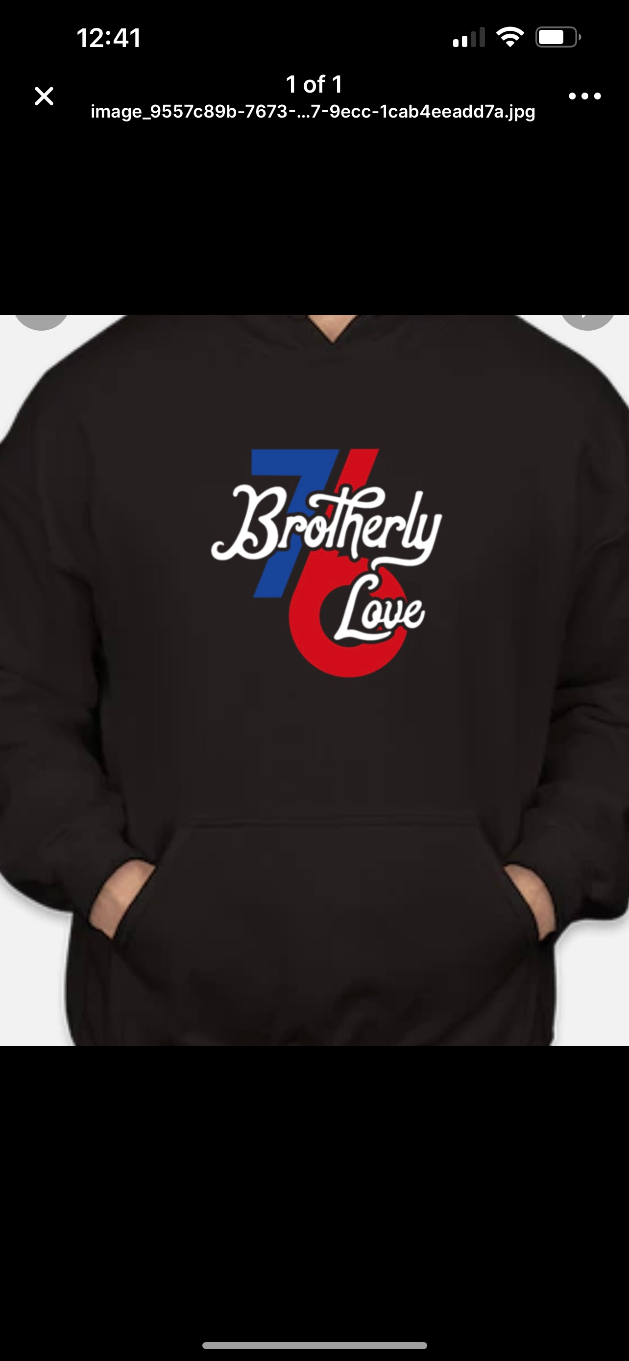 Brotherly love hoodie